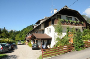 Отель Apartmaji Rabič, Бохиньска Быстрица